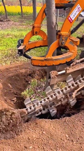 How to Transplant Trees Quickly and Safely with Modern Machines
