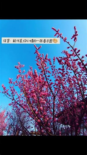 Springtime Serenity: Capture the Beauty of Nature