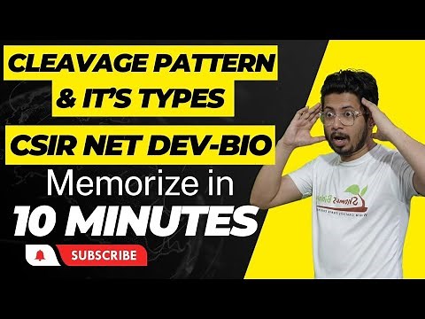 Cleavage pattern and types csir net | Developmental biology lecture | Holoblastic cleavage