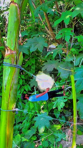 35K views · 259 reactions | Creativity tutorial idea for mobile #reals #videography #videographer #tutorial #photography #Creative #foryourpage @top fans | Sb Akash 0.4 | Facebook