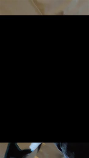 𝐻𝑒𝑣𝑒𝑙𝑦𝑛 𝐿𝑒𝑑𝑒𝑠𝑚𝑎 (@hhevelyn_)’s videos with original sound - 🎧