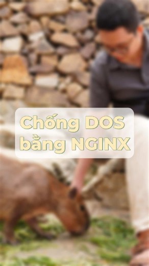 Hướng dẫn bảo mật với NGINX cho DOS