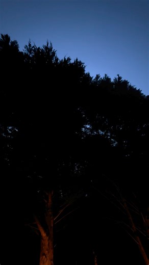 A beautiful Friday night to be outside. #fridayvibes #summervibes #theshabbytree | The Shabby Tree