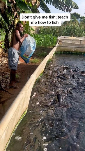 Effective Fish Farming Techniques for Beginners