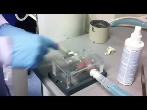 Mouse Induction Chamber for Tail Vein Injections