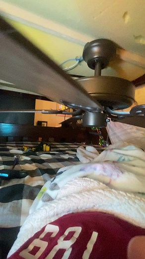 Quagmire Ceiling Fan Scene Moments from Family Guy