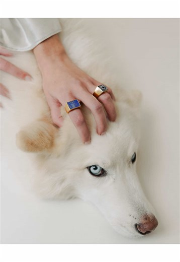 Creative Direction in Dog Modeling: Who Deserves Credit?