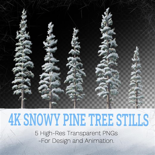 4K Snowy Pine Tree Stills - 5 High-Res Transparent PNGs for Animation & VFX