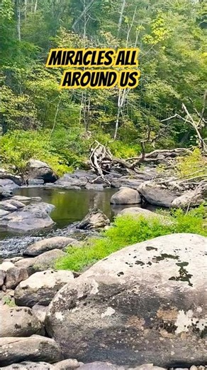 Trailside Beauty! #mtb #bicycle #mtbreview #extremesport