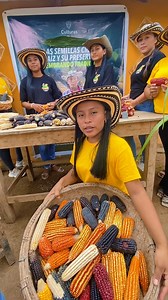 Te invito a vivir la segunda versión del festival de maíces de colores en la comunidad Indigna Buenaventura, Palmito - Sucre, esté 21, 22 y 23 de Noviembre !! #zenú #fbstylelife #Maiz #maizdecolores #sanantoniodepalmito #tuchin | Córdoba En Vivo