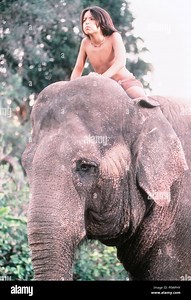 Original Film Title: THE JUNGLE BOOK II: MOWGLI'S STORY.  English Title: THE JUNGLE BOOK II: MOWGLI'S STORY.  Film Director: NICK MARCK.  Year: 1998.  Stars: BRANDON BAKER. Credit: WALT DISNEY HOME VIDEO / Album Stock Photo - Alamy