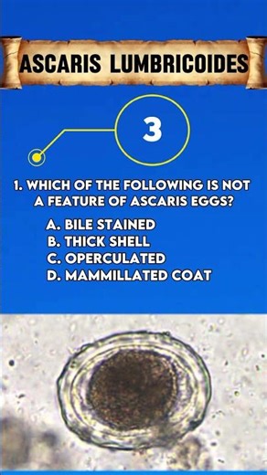 Medical MCQs | Parasitology Exam Questions with Answers | Medical exam #shorts