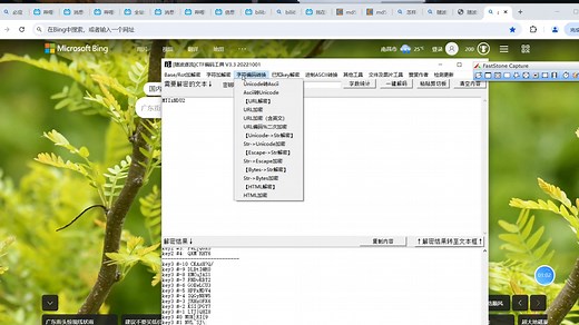 CTF解码工具:随波逐流-简单使用方法