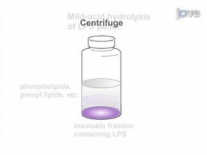 Isolation and Chemical Characterization of Lipid A from Gram-negative Bacteria