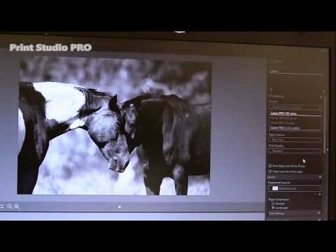 Pixma PRO-10S Print using Print Studio PRO plugin