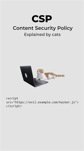 coding.kitty on Instagram: "Content Security Policy, explained by cats. #cat #csp #webdev #security #coding"