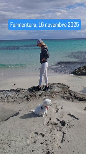 4.3K views · 261 reactions | Questa mattina un po' di pioggia, ma poi il cielo si è schiarito ed è uscito il sole. I chiringuitos sulla spiaggia sono aperti. È una bellissima domenica di metà novembre. | Davide Gervasi | Facebook