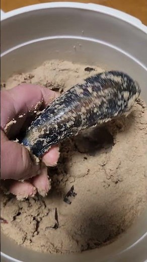 【誰でも簡単ぬか漬け】最後に残った一つのお茄子のお漬物が完成