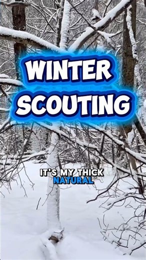 Winter Scouting Gold: Big Buck Sign in the Snow 🦌