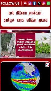எல் நினோ தாக்கம் தமிழக அரசு எடுத்த முடிவு #sathiyamnews #news #ops