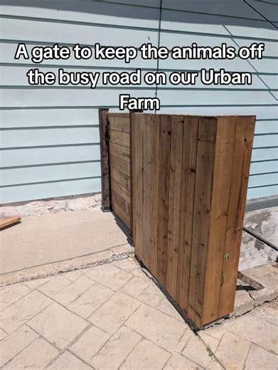 The Problem Nobody Talks About With Urban Farming...