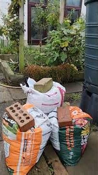 Cutting back the raspberry canes #raspberry #canes #fruit