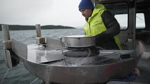 Protecting native species by fishing out invaders | CNN