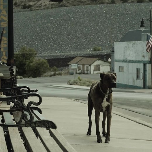 21K views · 234 reactions | The Killers album 'Pressure Machine' out 13th August  Pre-order it now everywhere | The Killers | Facebook