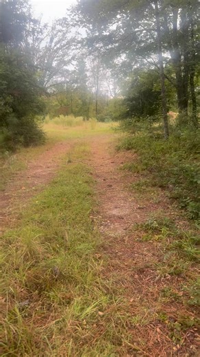 Rainy opening day Fairfield Co South Carolina! #deerseason #whitetail #deerhunting | Brett Collins