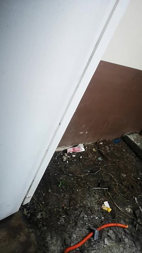 Shemaiahshemaiah1 (@shemaiah17)’s videos with original sound - Shemaiahshemaiah1