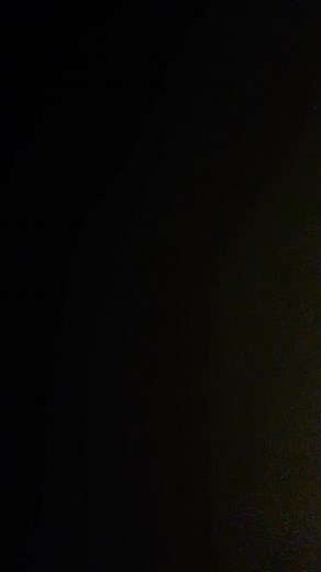 Lines for scratch garden live part 9