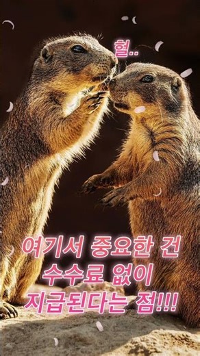 같이 엠브레인 해요! #패널파워 #패널파워공모전 #설문조사앱테크 #좌담회 #대외활동 💕✔️🍀
