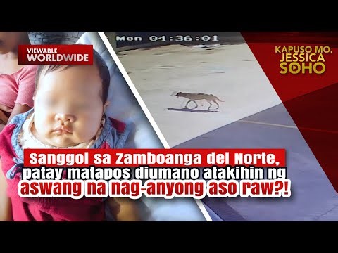 Sanggol, patay matapos diumano atakihin ng aswang na nag-anyong aso raw?! | Kapuso Mo, Jessica Soho