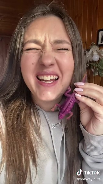 Exploring a Colorful Toy Lizard in Detail