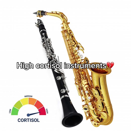 Low Brass vs. Other Band Sections: The Real Deal