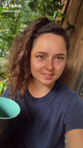 Cheyenne wheat (@picklewheat)’s videos with original sound - The FRDi Show