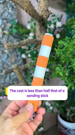 Avian on Instagram: "2 inexpensive and effective ways to trim parrot claws ✅🦜 #pet #bird #parrotlover #parrotsofinstagram #cuteparrot #lovebirds #trending #parrotsoftiktok #parrotlife #parrot #reelsinstagram #viralvideos #pettok"