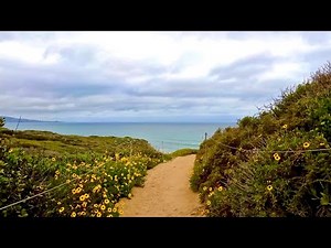 1 Hour Silent Hiking in Spring | Torrey Pines Nature Walk