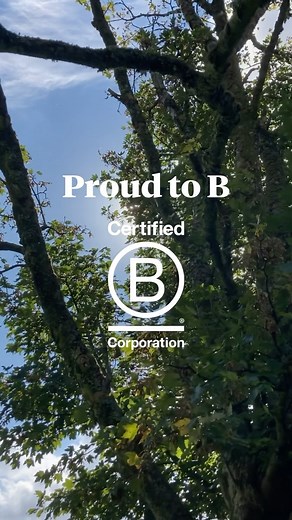 Bloom & Wild on Instagram: "BIG. News. It’s official – we’re a B Corp™ 🎉And we’re buzzing about it. Being a B Corp means we’re part of a global group of businesses, all committed to doing our bit for the planet 🌎 Loads of hard work has gotten us here. Like Lucy only sourcing our flowers from responsible growers. And Nelmari making sure our packaging stays 100% recyclable or compostable. Head to the link in bio to see what we’re doing to make every gift you send extra thoughtful 💚 #bcorpuk @bc