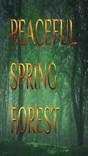 Peaceful Spring Forest 🌿 Relax & Breathe Deep