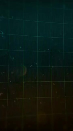 Ellio Trades on TikTok