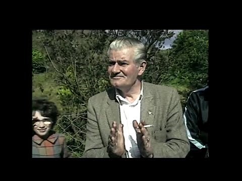 Moving Statue Report, Ballinspittle, Co. Cork, Ireland 1985