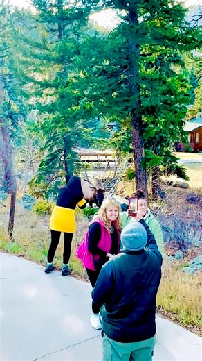 Too close? 🫣 Bad idea for family photos? Please respect wildlife. It’s not just you that can get hurt if something happens. | The Untamed View