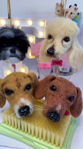 Cuentas recomendadas