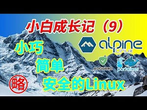 【小白成长记】（9）Alpine简单安装 小巧 简单 安全方便的Linux发行版 虚拟机安装ISO镜像只有47mb 全功能docker 虚拟机 软路由必备Linux系统推荐