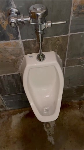 Urinal Repair: How to Rebuild a Sloan Valve