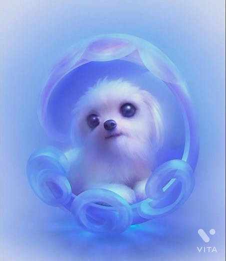 cute animals wallpaper