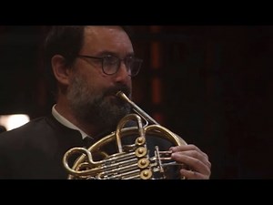 Tchaikovsky's 5th Symphony, Horn Solo