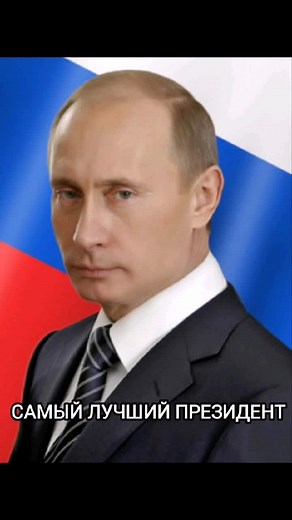 Exploring the Beauty of Birch Trees in Nature