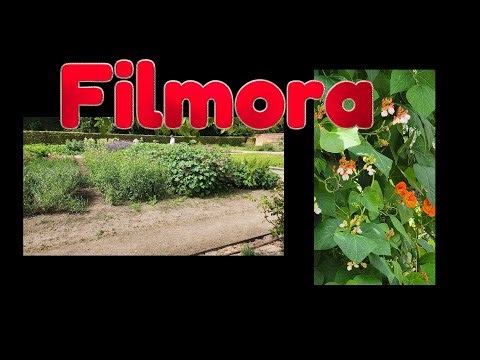 How To Do A Video From The Frames, Clips With Different Sizes In FILMORA | Let`s Do Tech | Editing